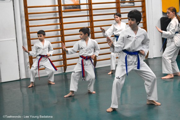 Examen de Taekwondo